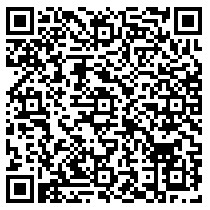 豆芽转：米转旗下文章转发平台，阅读单价0.5元-珍珠贝壳