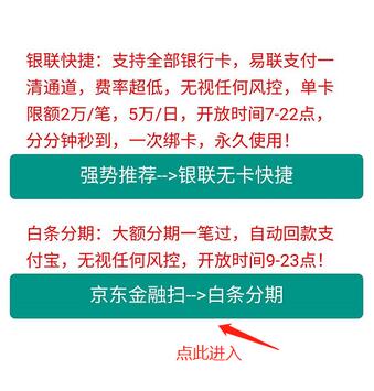 付德拉上线大额白条收款，每天9点-23点随时操作-珍珠贝壳