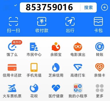 支付宝红包又来啦，红包有点大，大家速度领取-珍珠贝壳