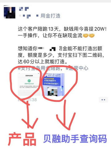 如何成为贝融助手大数据查询代理赚佣金？-珍珠贝壳